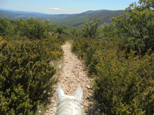 France-Provence-Provence Explorer Ride